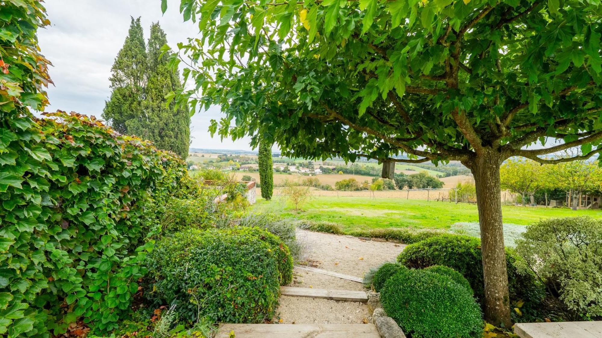 Bed and Breakfast Propriete Le Monneton Sainte-Christie Exterior foto