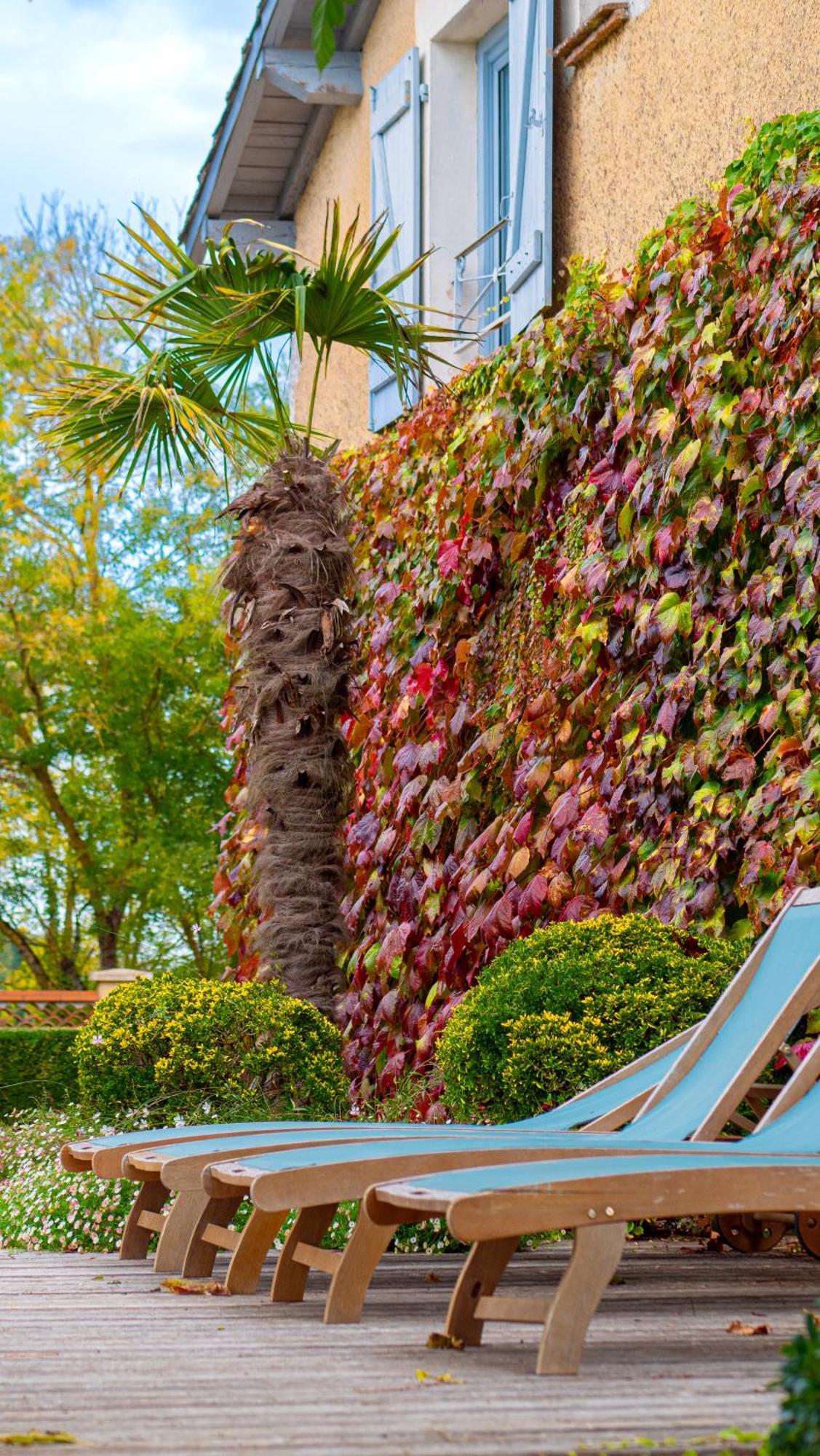 Bed and Breakfast Propriete Le Monneton Sainte-Christie Exterior foto
